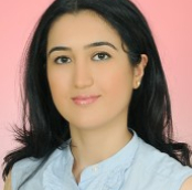 Arş.Gör. Meryem K. Büyükimdat